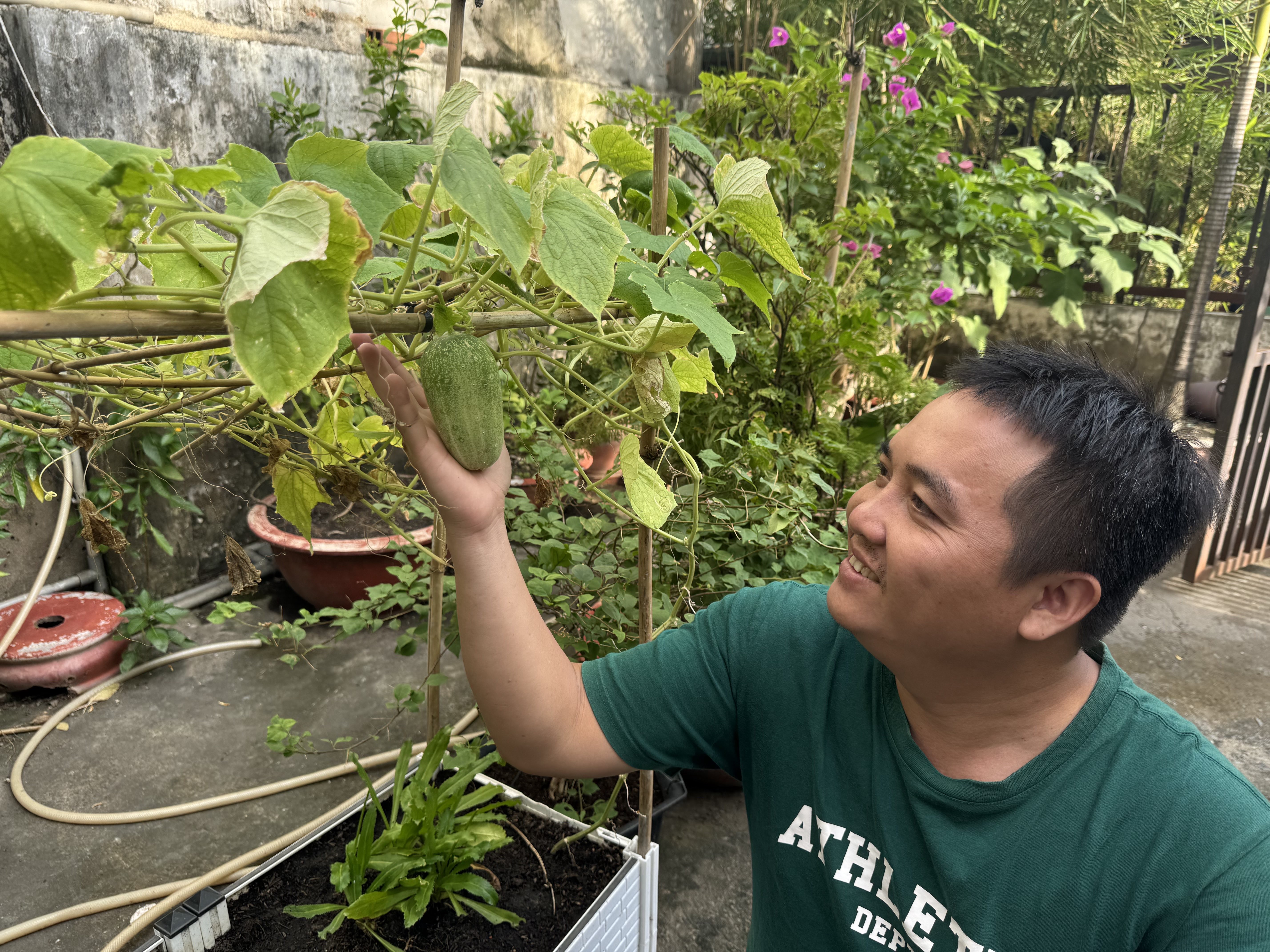 Hoa Bui